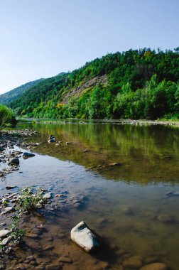 Açık bir yaz gününde güzel bir dağ nehri. Güneşli bir günde nehir. Dağ ormanındaki nehir. Dağlardaki orman nehri