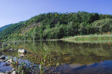 Açık bir yaz gününde güzel bir dağ nehri. Güneşli bir günde nehir. Dağ ormanındaki nehir. Dağlardaki orman nehri