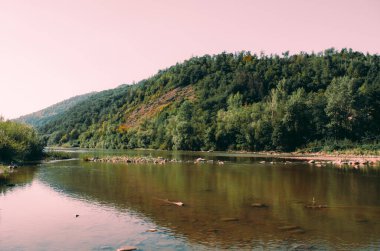 Açık bir yaz gününde güzel bir dağ nehri. Güneşli bir günde nehir. Dağ ormanındaki nehir. Dağlardaki orman nehri
