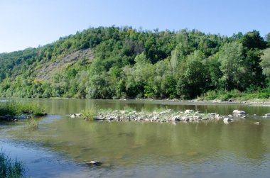 Açık bir yaz gününde güzel bir dağ nehri. Güneşli bir günde nehir. Dağ ormanındaki nehir. Dağlardaki orman nehri