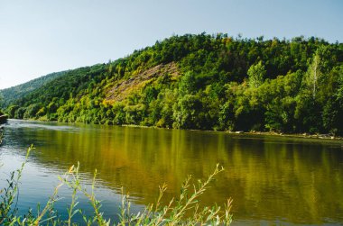 Açık bir yaz gününde güzel bir dağ nehri. Güneşli bir günde nehir. Dağ ormanındaki nehir. Dağlardaki orman nehri