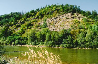 Açık bir yaz gününde güzel bir dağ nehri. Güneşli bir günde nehir. Dağ ormanındaki nehir. Dağlardaki orman nehri