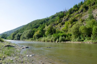 Açık bir yaz gününde güzel bir dağ nehri. Güneşli bir günde nehir. Dağ ormanındaki nehir. Dağlardaki orman nehri