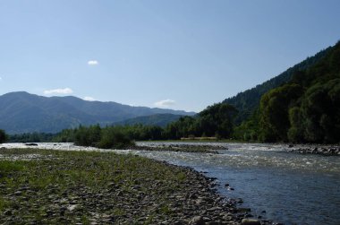 Açık bir yaz gününde güzel bir dağ nehri. Güneşli bir günde nehir. Dağ ormanındaki nehir. Dağlardaki orman nehri