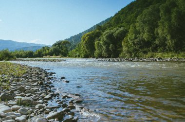 Açık bir yaz gününde güzel bir dağ nehri. Güneşli bir günde nehir. Dağ ormanındaki nehir. Dağlardaki orman nehri
