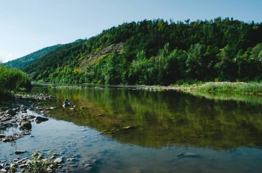 Açık bir yaz gününde güzel bir dağ nehri. Güneşli bir günde nehir. Dağ ormanındaki nehir. Dağlardaki orman nehri