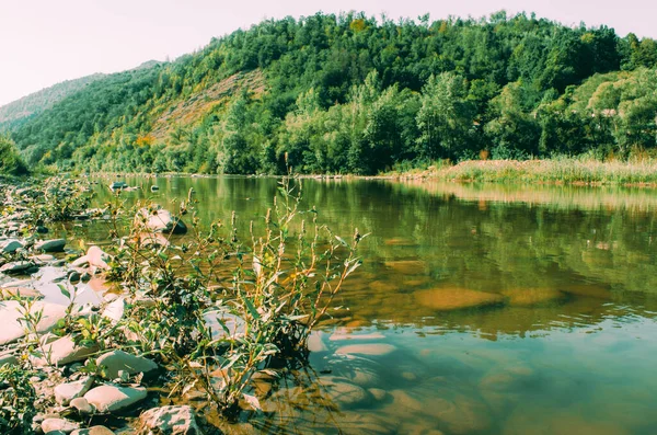 Açık Bir Yaz Gününde Güzel Bir Dağ Nehri Güneşli Bir — Stok fotoğraf