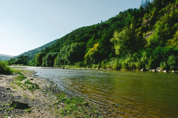 Açık Bir Yaz Gününde Güzel Bir Dağ Nehri Güneşli Bir — Stok fotoğraf