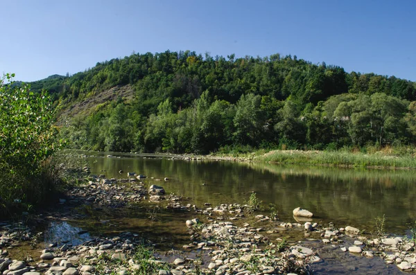 晴れた夏の日に美しい山の川 晴れた日に川 山の森の川 山の森の川 — ストック写真