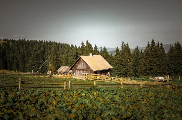 Ländliches Holzhaus Ukrainische Karpaten Verlassenes Haus — Stockfoto