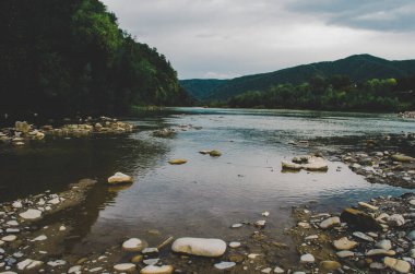 Uçurumlar arasındaki dağ nehri. Nehrin mavi berrak suyu. Nehir kıyısında genç yeşil yapraklar, bahar
