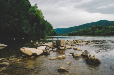Uçurumlar arasındaki dağ nehri. Nehrin mavi berrak suyu. Nehir kıyısında genç yeşil yapraklar, bahar