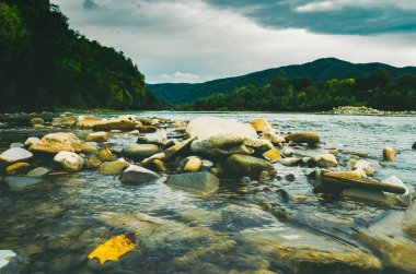 Uçurumlar arasındaki dağ nehri. Nehrin mavi berrak suyu. Nehir kıyısında genç yeşil yapraklar, bahar