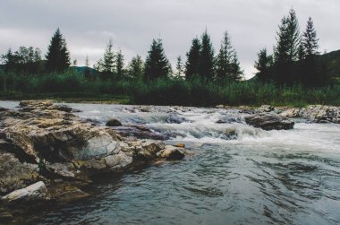 Uçurumlar arasındaki dağ nehri. Nehrin mavi berrak suyu. Nehir kıyısında genç yeşil yapraklar, bahar