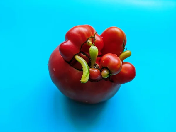 A non-standard tomato by its nature, red,selective soft focus, a tomato isolated