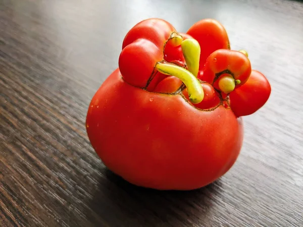 Μια Τυπική Ντομάτα Από Φύση Της Κόκκινη Επιλεκτική Μαλακή Εστίαση — Φωτογραφία Αρχείου