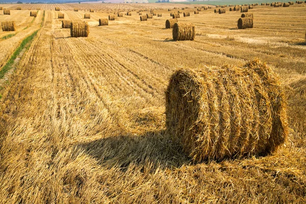 Campo Sem Fim Com Fardos Palha Paisagem Rural Australiana Série — Fotografia de Stock