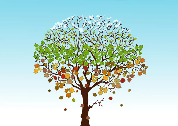 Four seasons tree Stock Illustration