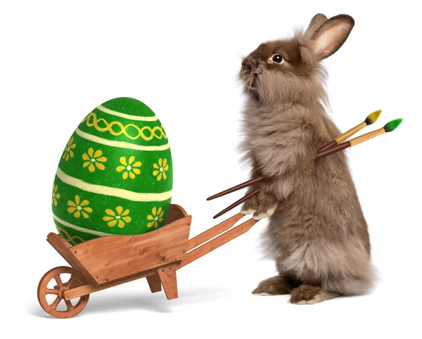 Divertido conejo de Pascua con una carretilla y una Pascua verde —  Fotos de Stock