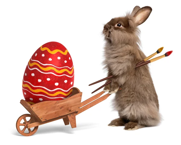 Funny Easter bunny rabbit with a wheelbarrow and a red Easter eg — Stockfoto