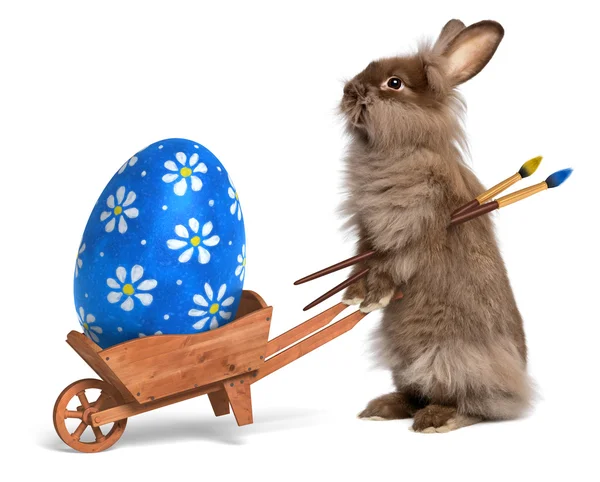 Conejo divertido conejo de Pascua con una carretilla y una Pascua azul e — Foto de Stock