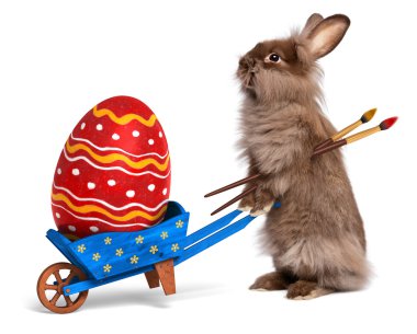 Funny Easter bunny rabbit with a blue wheelbarrow and a red East clipart