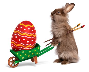 komik easter bunny tavşan ile yeşil bir el arabası ve kırmızı eas