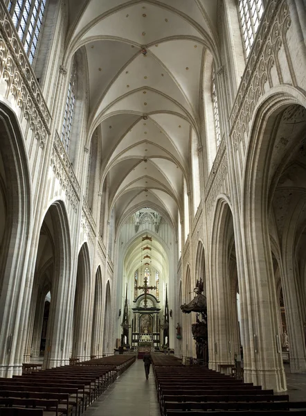 Kathedrale unserer Dame in Antwerpen — Stockfoto