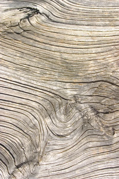 Textura de madera vieja, cortar una tabla de madera — Foto de Stock