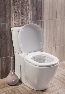 Tuvalet kapağı açık ve aksesuarları