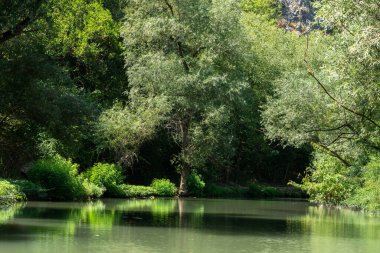 kayalar; sahil; ağaçlar; ağaçlar; yeşillik; ekoloji; ekoloji; doğa; doğa; su; yüzme; çevre; görünüm; basit hayat; küçük; yaz; yansıma; ayna; dirya; iz; nehir; akıntı; akıntı; ufuk; vs.