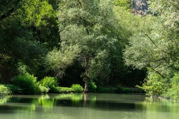 kayalar; sahil; ağaçlar; ağaçlar; yeşillik; ekoloji; ekoloji; doğa; doğa; su; yüzme; çevre; görünüm; basit hayat; küçük; yaz; yansıma; ayna; dirya; iz; nehir; akıntı; akıntı; ufuk; vs.