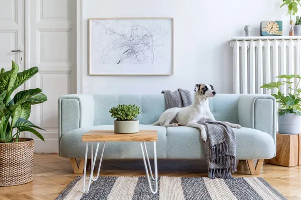 舒适和富有创意的设计风格的客厅室内设计 与模拟海报框架 绿色沙发 木制家具 植物和配件 白色的墙壁 花束地板 — 图库照片