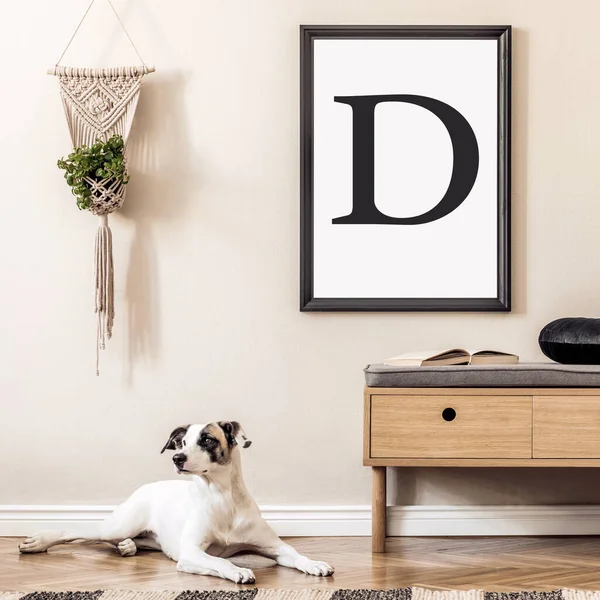 Mock up poster frame. Dog lying on the carpet. Scandinavian and design home interior of living room with wooden commode,rattan basket with plants, and elegant accessories. Stylish home decor. Template.