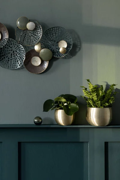 客厅的风格和现代构图 绿墙镶嵌架子 金罐中美丽的植物 装饰典雅的个人饰物 现代家居装饰 复制空间 — 图库照片