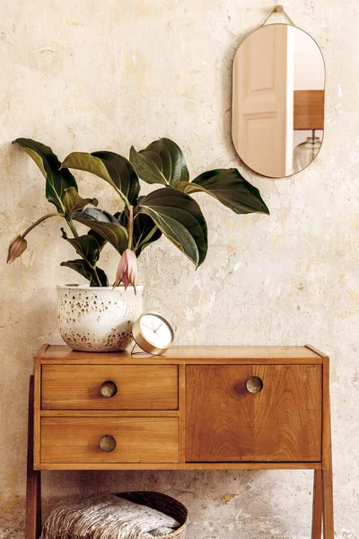 Oturma odasının içerisindeki ahşap klozet, altın rengi ayna, bitki, rattan sepeti, ekose, dekorasyon ve Wabi Sabi ev dekorasyonundaki zarif kişisel aksesuarlar.. 