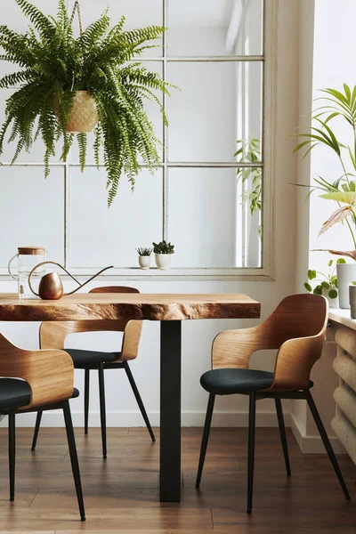 Elegante Botánica Interior Del Comedor Con Mesa Madera Artesanal Diseño —  Fotos de Stock