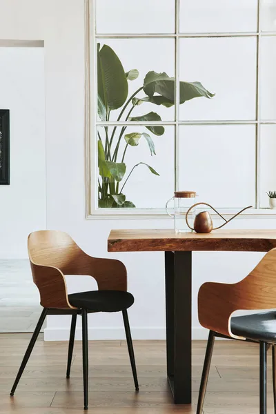 Stylish Botany Interior Dining Room Design Craft Wooden Table Chairs — Stock Photo, Image