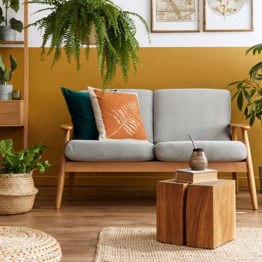 Tasarım gri kadife kanepe, küp, mobilya, bitkiler, halı, dekorasyon ve poster çerçeveleriyle oturma odasının şık İskandinav iç dekorasyonu. Şablon.