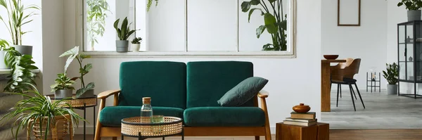 Yeşil Kadife Kanepe Sehpa Halı Bitkiler Mobilyalar Modern Dekorunda Zarif — Stok fotoğraf