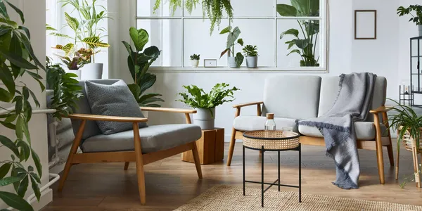 Modernes Skandinavisches Wohnzimmer Mit Grauem Design Sofa Sessel Vielen Pflanzen — Stockfoto