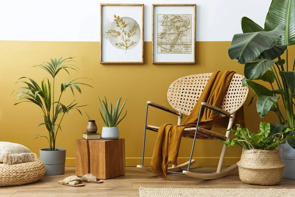 Stylish composition of living room interior with design rattan armchair, two mock up poster frames, plants, cube, palid and personal accessories in honey yellow home decor. Template.