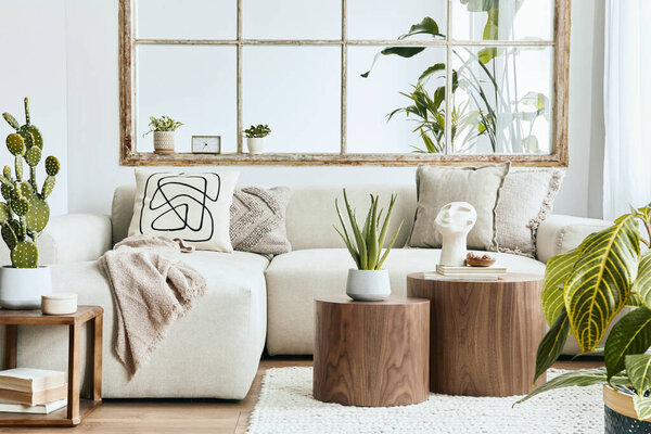 Stylish composition of living room with design beige sofa, wooden stool, cacti, plants, book, decoration, furniture and elegant personal accessories. Modern home decor. Open space. Template.