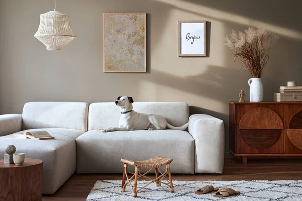 Stylish interior of living room with design modular sofa, furniture, coffee table,  decoration, dried flowers and elegant accessories in modern home decor. Beautiful dog lying on the sofa. Template.