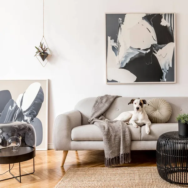 舒适而时尚的客厅室内设计的创意构图 带有模拟的海报框架 木制梳妆台和配件 白色的墙壁和花篮地板 中性的颜色 — 图库照片