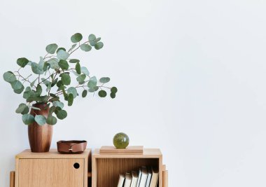 Oturma odasının modern kompozisyonu, tasarım ahşap kitaplık, vazoda okaliptüs yaprağı, kitap, dekorasyon, cam top ve beyaz duvarda kopya alanı. Şablon.