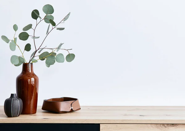 Minimalist Concept Living Room Interior Elegant Apartment Wooden Commode Leaf — Stock Photo, Image