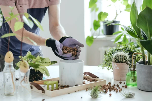 Gyönyörű Eljárás Otthoni Kertészkedésre Fiatal Kertész Gondoskodik Zöld Növények Elegáns — Stock Fotó