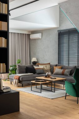Köşedeki gri kanepe, mobilya tasarımı ve minimalist kişisel aksesuarlarla oturma odasının şık kompozisyonu. Kitap rafı. Modern ev dekorasyonu. Şablon.