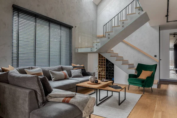 Stylish Composition Modern Living Room Design Corner Grey Sofa Green — Stock Photo, Image
